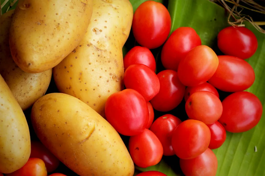 De evolutionaire prestatie waaraan we de aardappel te danken hebben, en waarom deze niet zou bestaan zonder tomaten